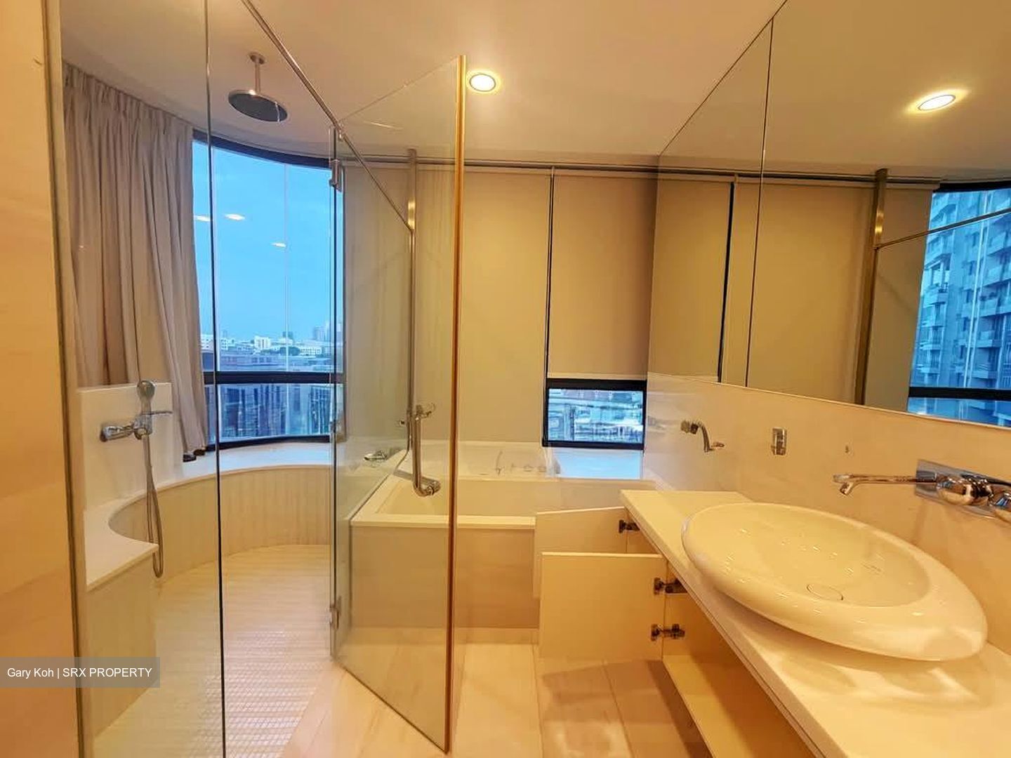 Skyline 360 @ Saint Thomas Walk (D9), Condominium #551700301